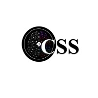 Pankaj Kumar Jha Centre for Security Studies logo - Similar company to Usanas Foundation
