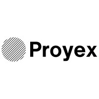 Proyex logo - Similar company to Intelligent Marketer