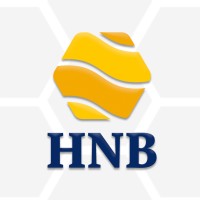 HiveNB logo - Similar company to N3Uron.Ai Thinktech Laboratory