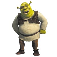 SHREK CONTRACTING LIMITED logo - Similar company to Deeznuts
