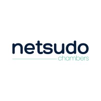 Netsudo Chamber logo - Similar company to Siltek Advanced Materials India Private Limited