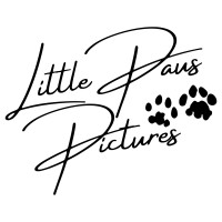 Little Paws Pictures logo - Similar company to Creatorplus