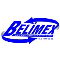 Belimex Sarl logo - Similar company to Per4Mance Digital