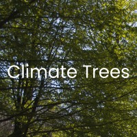 Climate Trees logo - Similar company to Climate Explorers Cic