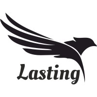 Lasting Software Pvt. Ltd. logo - Similar company to Lasting Software