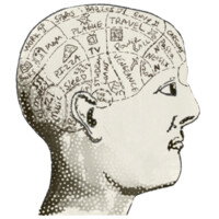 Museums as Progress (MaP) logo - Similar company to Museums Computer Group (Mcg)