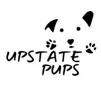 Upstate Pups of New York logo - Similar company to Ed23Hoops