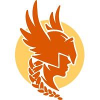 Valkyrie Accountants & Advisors logo - Similar company to Smsf Works