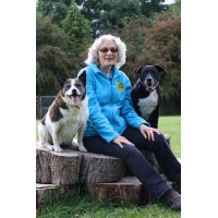 We Train Any Dog Training School