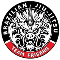 Telge BJJ & MMA logo - Similar company to Swedbanks Ägarstiftelse Nya