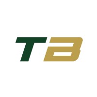 TurboBid logo - Similar company to Medulla Effect