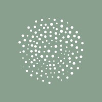 Solina logo - Similar company to Fresch Identity