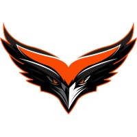 Las Vegas Thunderbirds Hockey Club logo - Similar company to Fenske Media