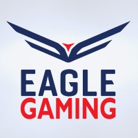 Eagle Gaming logo - Similar company to Rex Gaming Computer