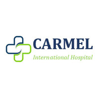 Carmel International Hospital Vietnam logo - Similar company to Amf Corp (Apex Mekong Future Corporation)