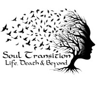Soul Transition logo - Similar company to Almara Group
