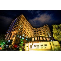 Hotel Hazel logo - Similar company to Hotel Halez