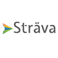 Sträva Technology Group logo - Similar company to Beringer Technology Group