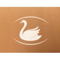 Strategic Probability Partners, Llc