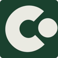 Consequent Strategies logo - Similar company to Viilee Solutions