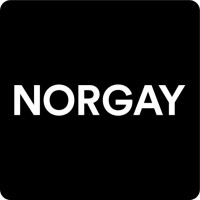 Norgay Consultants logo - Similar company to Protokol