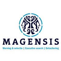 Magensis Services BV logo - Similar company to Plexuz