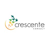 Crescente Consult logo - Similar company to Setona