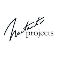 Nurtantio Projects ASBL logo - Similar company to Asbl Baob Brussels