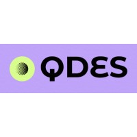QDES logo - Similar company to Yunquality 上海云质信息科技有限公司