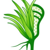 Grassroots lacrosse logo - Similar company to Boek9