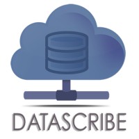 Datascribe Ltd logo - Similar company to Flytro