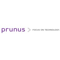PRUNUS IT logo - Similar company to Prunus