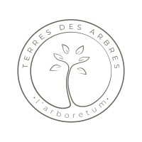 Terre Des Arbres