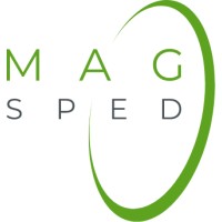Magsped AG logo - Similar company to Intralog Hermes Ag / Intralog Overseas Ag