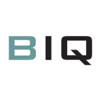 Biq Partners
