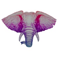 Exotic Elephant logo - Similar company to Grow Fragrance