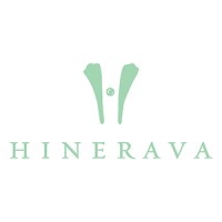 Hinerava Jewelry logo - Similar company to Brochier Vulliod