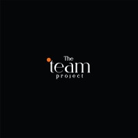 Team Project logo - Similar company to Win Way Llc