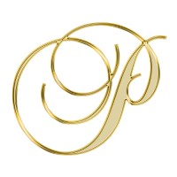 The Perfect Resume logo - Similar company to Perfect Resume