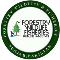Forestry Wildlife & Fisheries Department, Punjab, Pakistan logo - Similar company to Spatial Stack (Pvt)