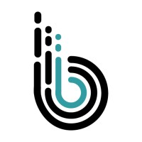 BrainSpate logo - Similar company to Raj Infotech