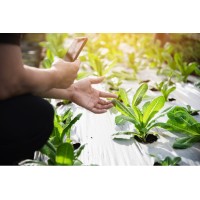 AgriFlavor Pro logo - Similar company to Croppulse Solutions