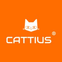 CATTIUS GROUP logo - Similar company to Grup Fuste Cassa Sl