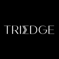 TriEdge Investments logo - Similar company to One70 Group