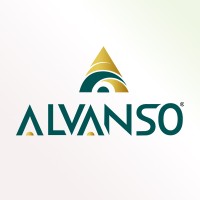 Alvanso logo - Similar company to Vine Advertising