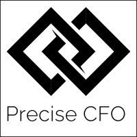 Precise CFO logo - Similar company to Bigbrainz Solutions