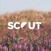 SCOUT Trend Forecasting + Consultancy logo - Similar company to Studio Elsewhere
