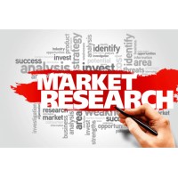 Market Intellect Solutions logo - Similar company to Techgolly