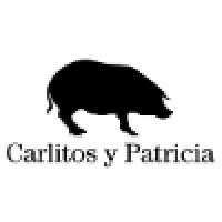 Patricia y Carlitos logo - Similar company to Lavisual