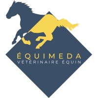 EQUIMEDA logo - Similar company to Equiveto
